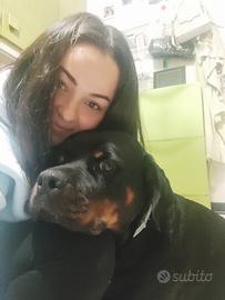 Pet sitter e baby sitter certificata