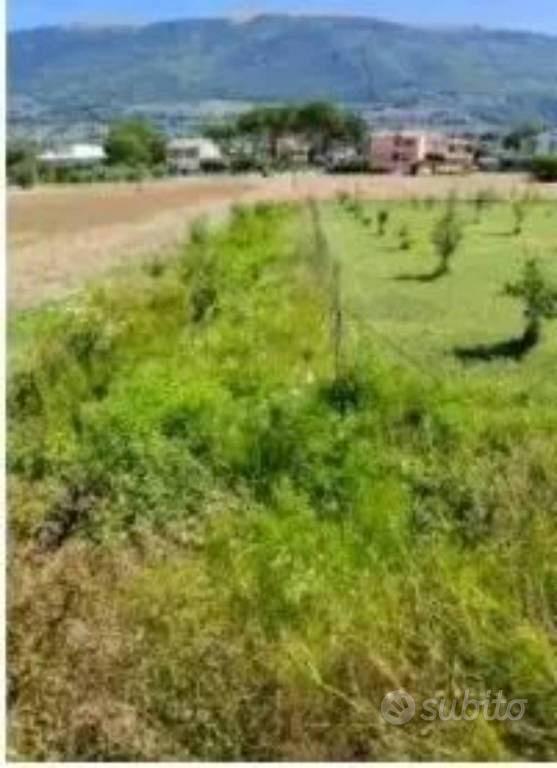 Immobile in asta di 1050 m² a Spello - Vista 2