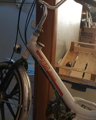 Bicimoto Lem