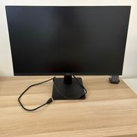 Monitor