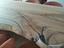 Immagine 13