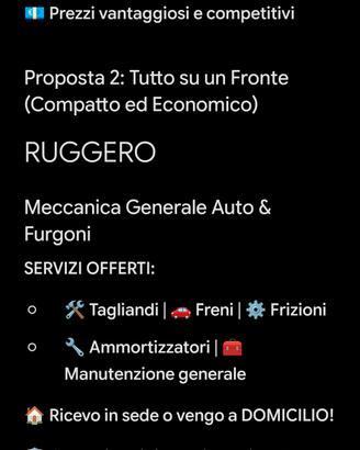 meccanico auto furgoni 