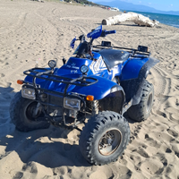 Polaris trailer boss 330