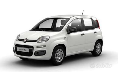 FIAT Panda 1.0 FireFly 65 CV S&S Hybrid Icon