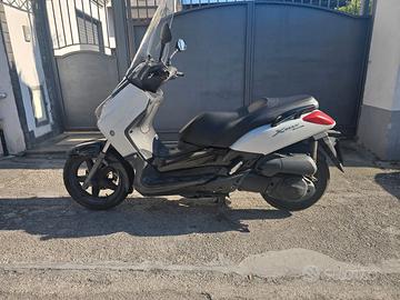 xmax 250 07/2008