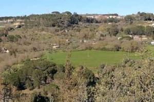 RGE 78/2017 Trib ENNA - LOTTO 7