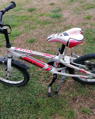 Bicicletta 3-6 anni