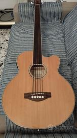 Basso acustico 5 corde fretless