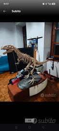 scheletro+pelle t-rex deagostini