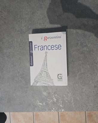 Dizionario italiano francese