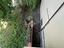 Immagine 10