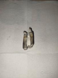 dente  fossile prezzo trattabile 