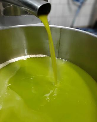 Bidone olio 2025