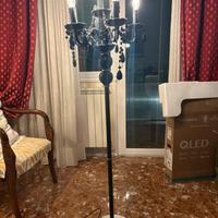 Lampada con pianta
