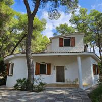 Villa in pineta a 5 minuti a piedi dal mare