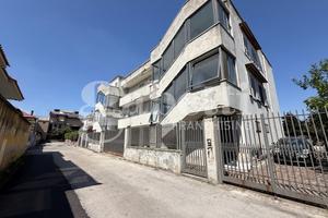 Stabile/Palazzo Mugnano di Napoli [MCV206VRG]