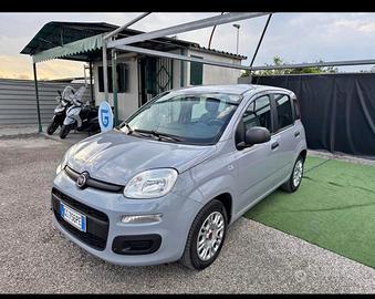 Fiat Panda 5 posti 1.2 69cv 2020 - Unico/Perfetta