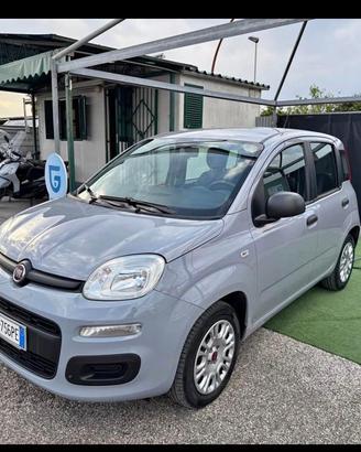 Fiat Panda 5 posti 1.2 69cv 2020 - Unico/Perfetta