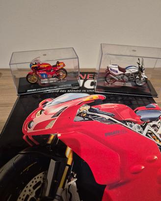 Collezione passione ducati