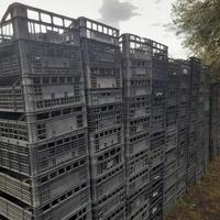 Cassette di plastica per frutta e ortaggi