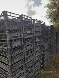Cassette di plastica per frutta e ortaggi
