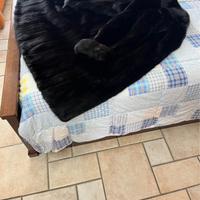 Visone nero blackglama