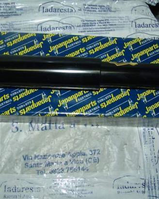 Ammortizzatori Post. Piaggio Porter 4853087503