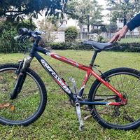 bicicletta ragazzo, ruota 26