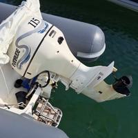 Motore Evinrude 115 hp Ficht Ram (ricambi)