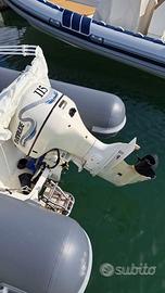 Motore Evinrude 115 hp Ficht Ram (ricambi)