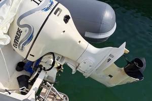 Motore Evinrude 115 hp Ficht Ram (ricambi)