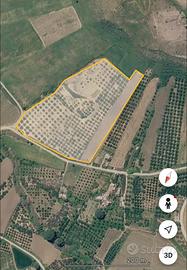 Terreno mokarta salemi 3,40 Ett 300 piante uliveto