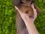 Immagine 1