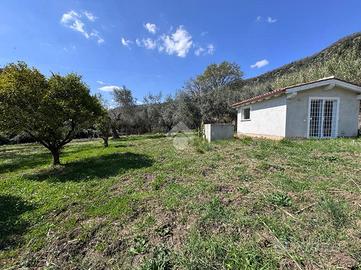 TER. AGRICOLO A TREVIGNANO ROMANO
