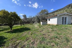 TER. AGRICOLO A TREVIGNANO ROMANO