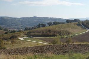 RUSTICO CON TERRENO A POGGIO SAN MARCELLO