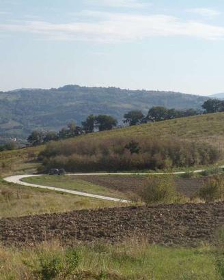 RUSTICO CON TERRENO A POGGIO SAN MARCELLO