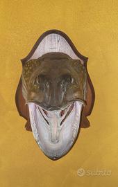Pike Luccio 
