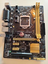 ASUS H81M-C rev.1.02 scheda madre LGA1150 DDR3