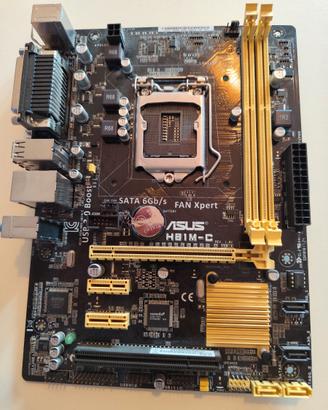 ASUS H81M-C rev.1.02 scheda madre LGA1150 DDR3
