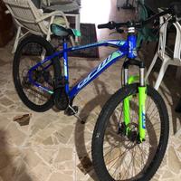 Mountain bike bici