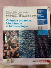 Il carbonio, gli enzimi, il dna seconda ed chimica