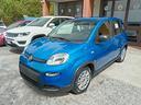 fiat-panda-1-0-70cv-hybrid-km-zero-neopatentati