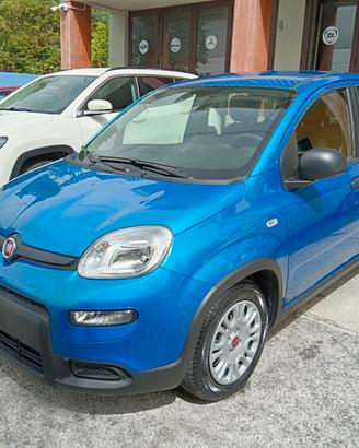Fiat Panda 1.0 70CV HYBRID KM ZERO NEOPATENTATI