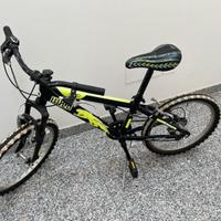 bicicletta 