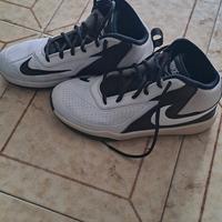 Scarpe NIKE Team Hustle D7