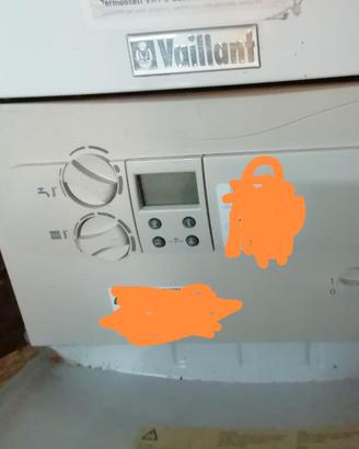 Caldaia a gas