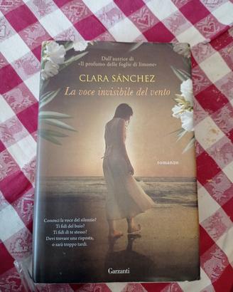la voce invisibile del vento di Clara sanchez