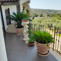Casa Vacanze La Selva