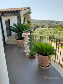 Casa Vacanze La Selva